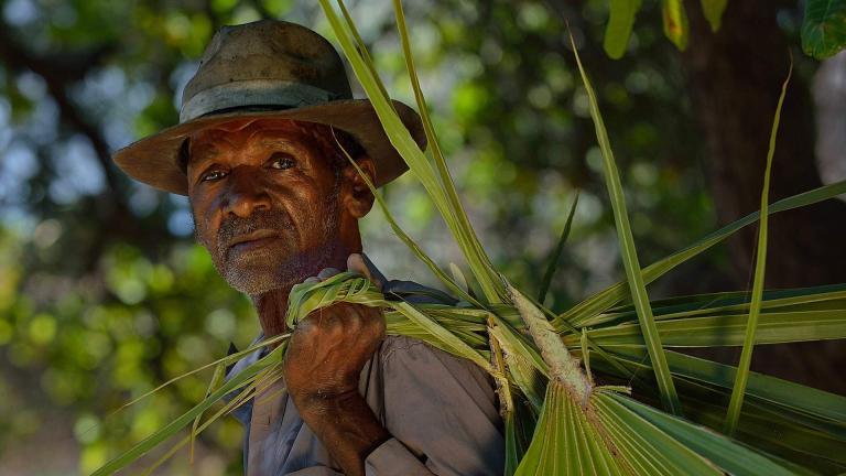 Madagascar ©Fabio Blanco