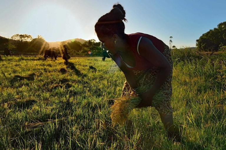 Madagascar ©Fabio Blanco