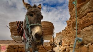 Foto di operai al lavoro realizzata un al workshop fotografia in Tunisia